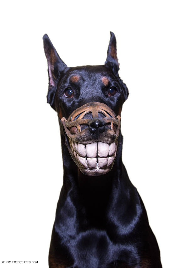 Bozal para perro gracioso y sonriente para disfraz