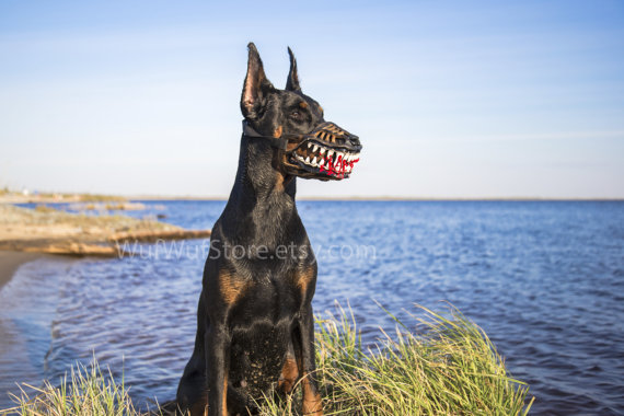 escribir Hula hoop Adular Bozal para perro tipo lobo terrorífico perfecto para Halloween ⋆ Mi perro  mola mogollón