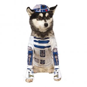 Disfraz de R2-D2 para perro