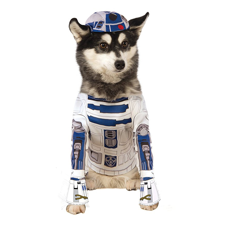 ✨ Disfraces de la Star Wars para perros ⋆ Mi perro mola mogollón