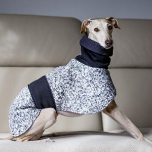 Abrigo elegante para galgo