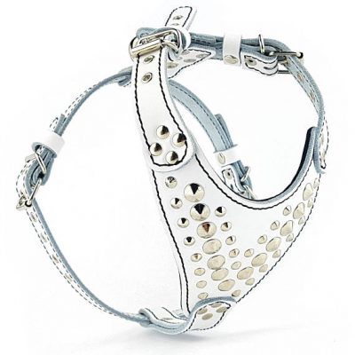 Son Arneses Recomendados Para Bulldog Frances