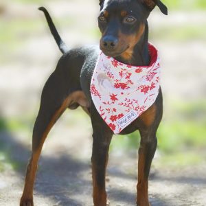 Bandana reversible para perro con motivo de flores y ciervos