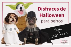 Disfraces de la saga Star Wars para perros