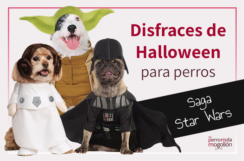 Disfraces de perro para Halloween: saga Star Wars