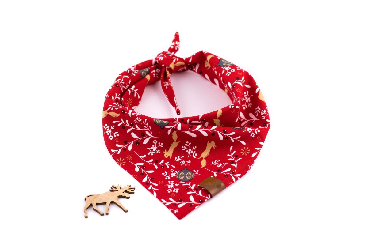 Bandana para perro con motivos de ardillas