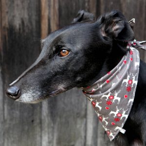 Bandana para perro motivos de renos