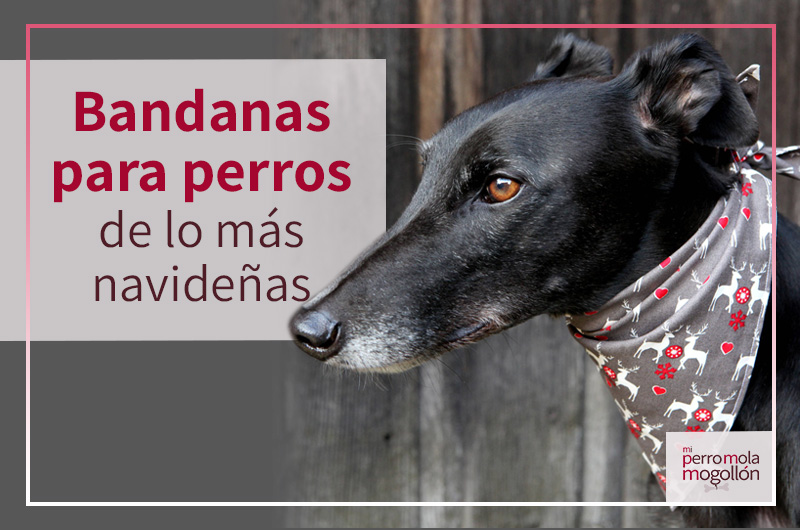 Bandanas para perro con motivos navideños