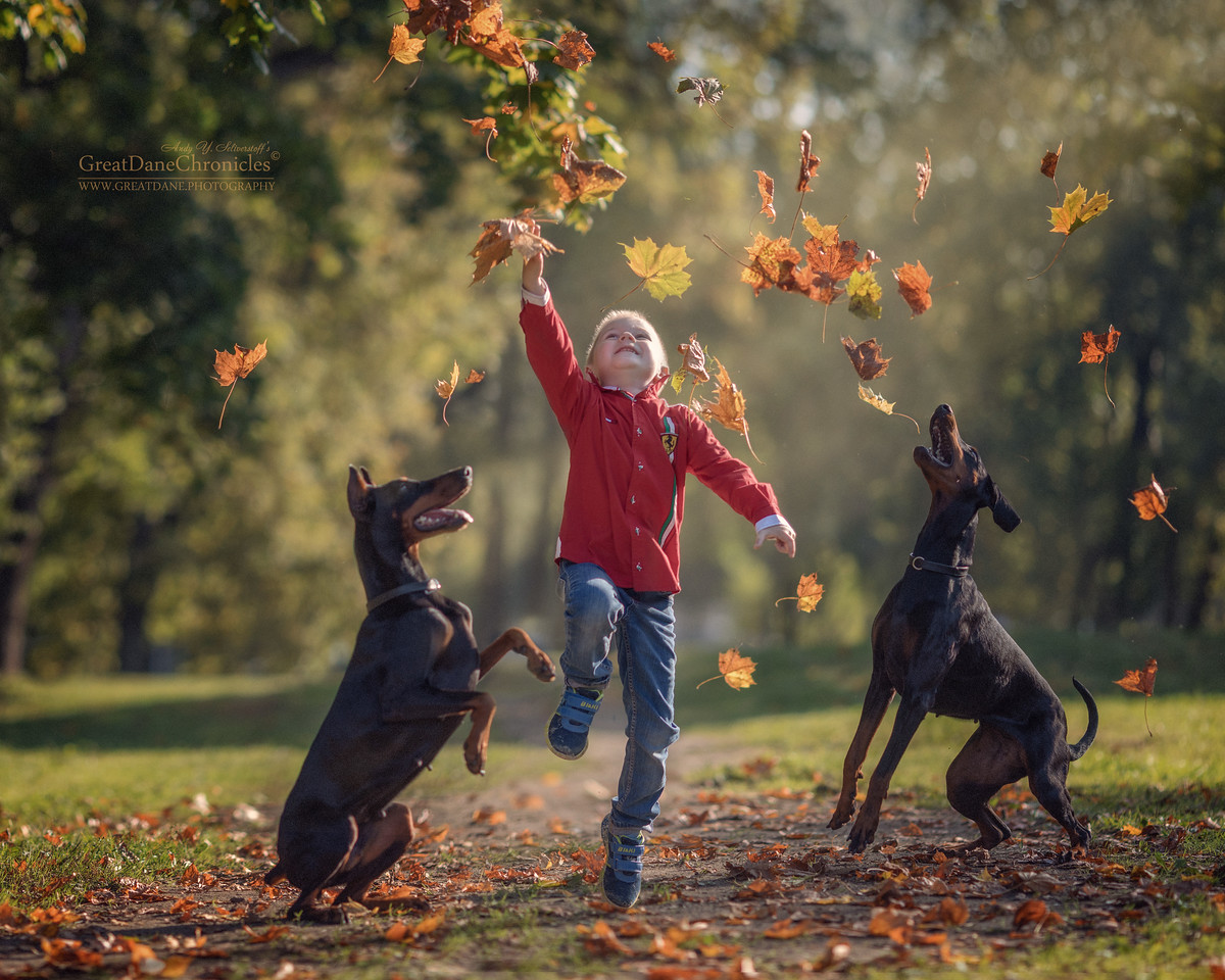 Great Dane Chronicles fotografía de perros y niños