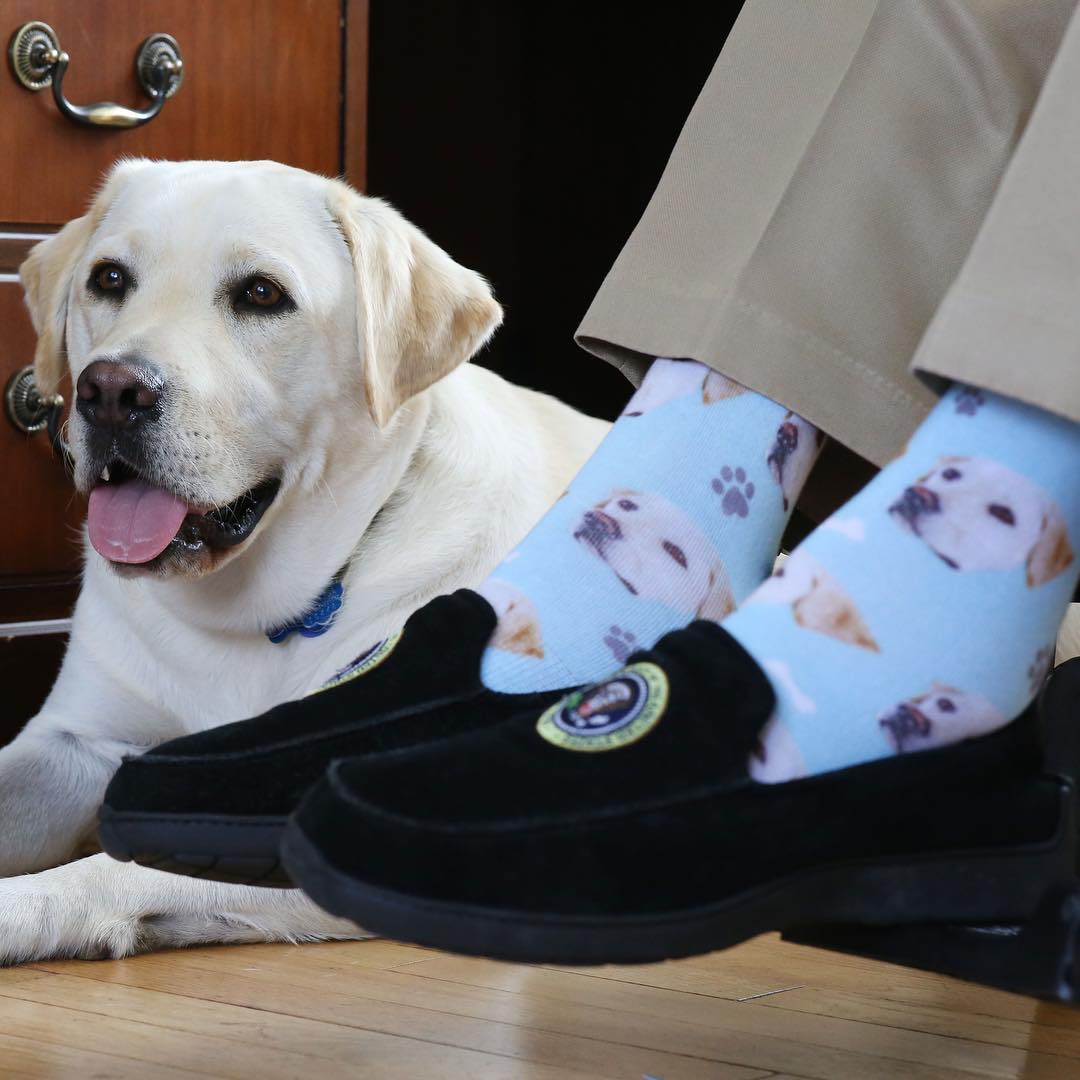 Sully junto a George HW Bush y sus calcetines de labrador