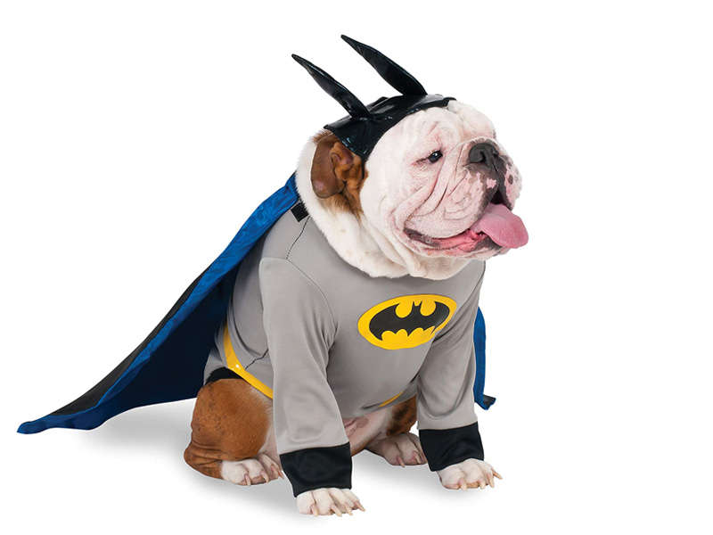 Disfraz para perro de Batman