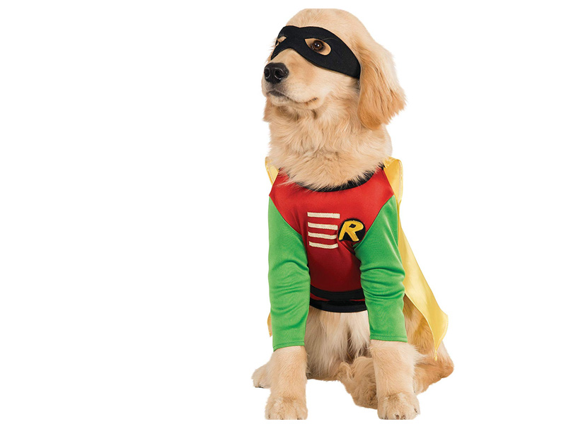 Disfraz para perro de Robin