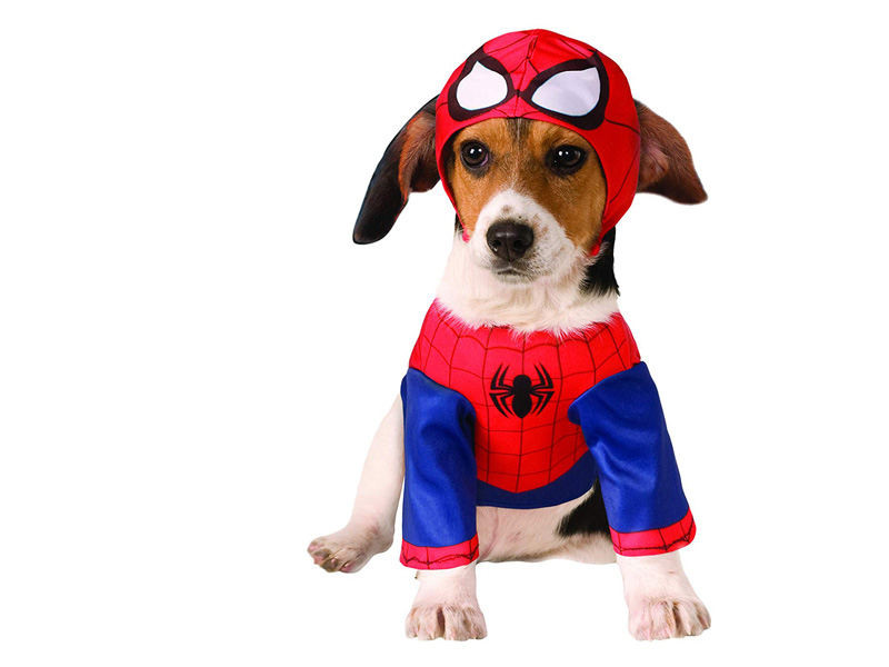 Disfraz para perro de Spiderman