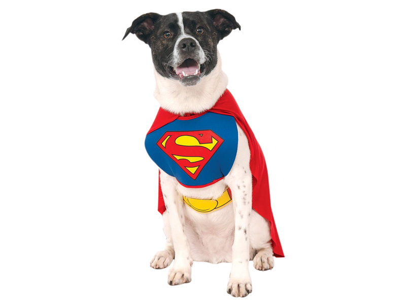 Disfraz para perro de Superman