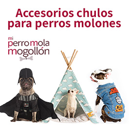 Mi perro mola mogollón